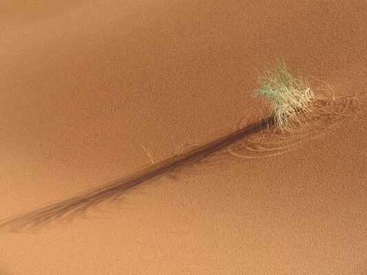 Marek_Cejka_Maroko2005 (39) - v dunách