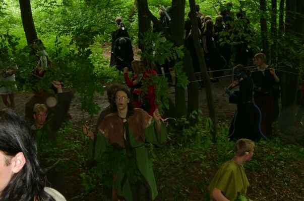 Snímek 071 - Hráči DrD již  patrně pohopili že se jedná o VZS-Velký zlý strom. Neboli následek probuzení lesa.