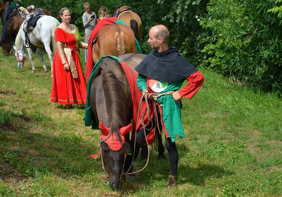 Dvanáctý ročník Královského průvodu v duchu oslav výročí ...